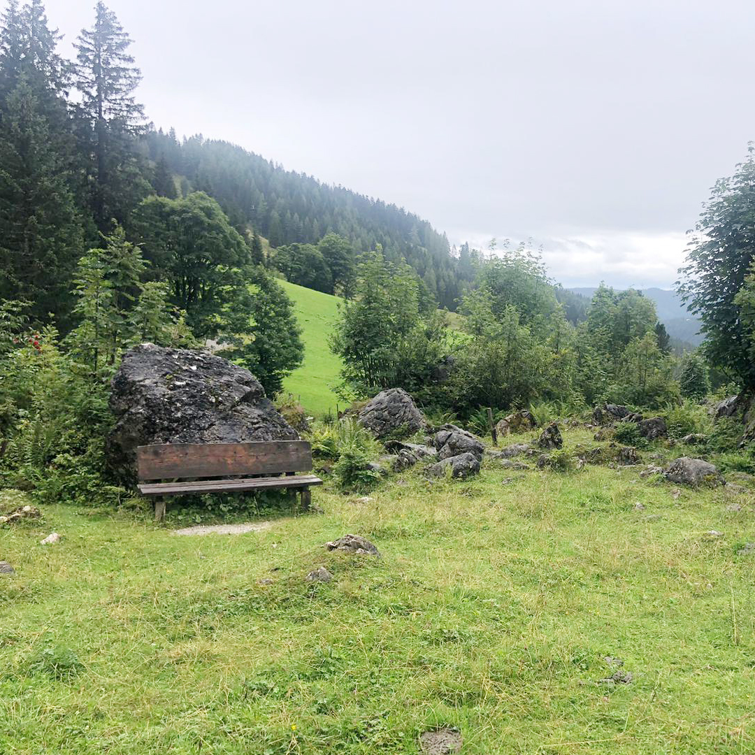 atemberaubende Berglandschaft mit frei laufenden Pferden auf den Wandertagen Filzmoos 2023 am Dachstein-Gebirge in Österreich