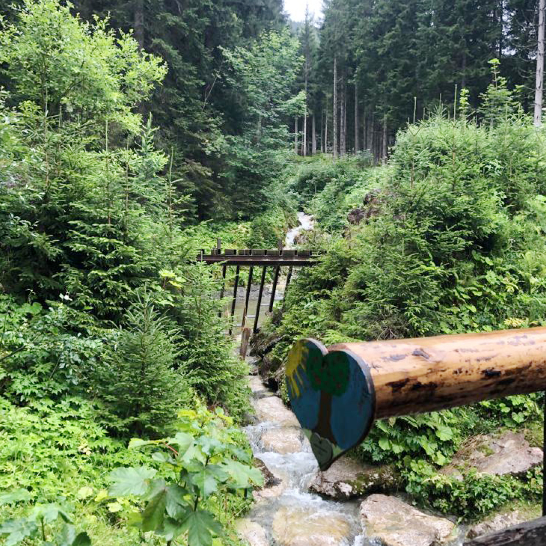 Höre in der Stille, und lausche nur dem Geräusch des nahen Baches! Wandertage Filzmoos 2023 am Dachstein-Gebirge in Österreich