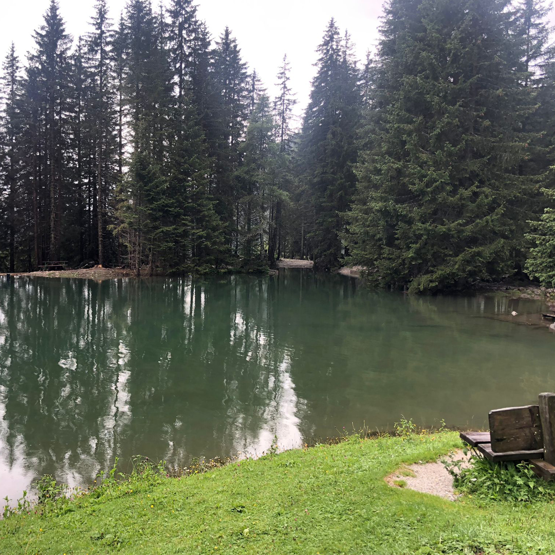 Der Almsee am Fuße der Bischofsmütze Wandertage Filzmoos 2023 am Dachstein-Gebirge in Österreich