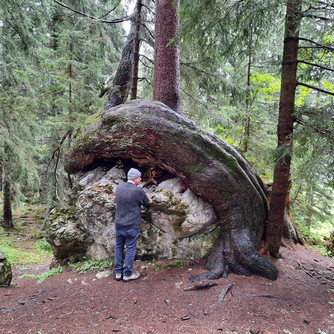 Impressionen von Kraftplätzen am Herzerlweg Wandertage Filzmoos 2023 Christine Roeder