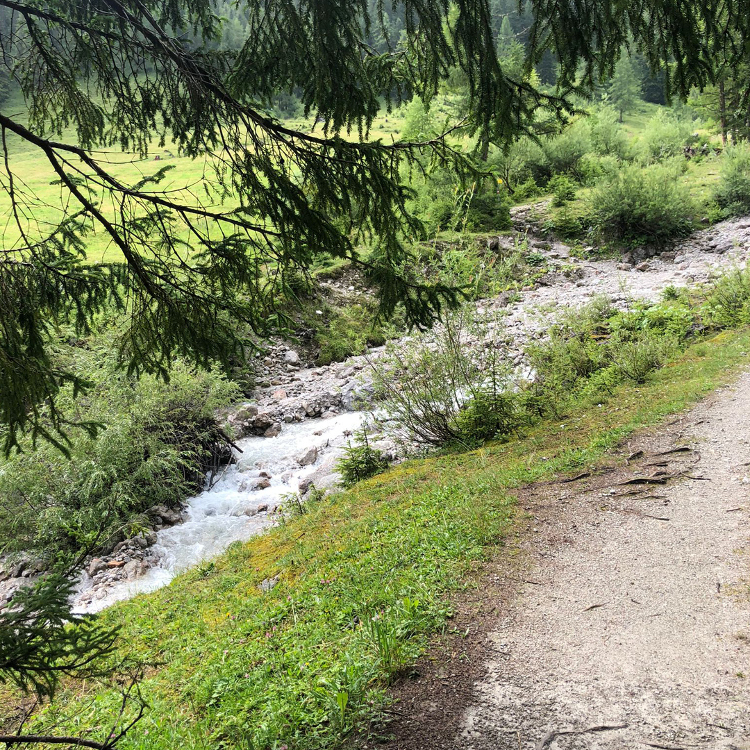 Überall wunderbar springende und rauschende Bäche Wandertage Filzmoos 2023 Österreich