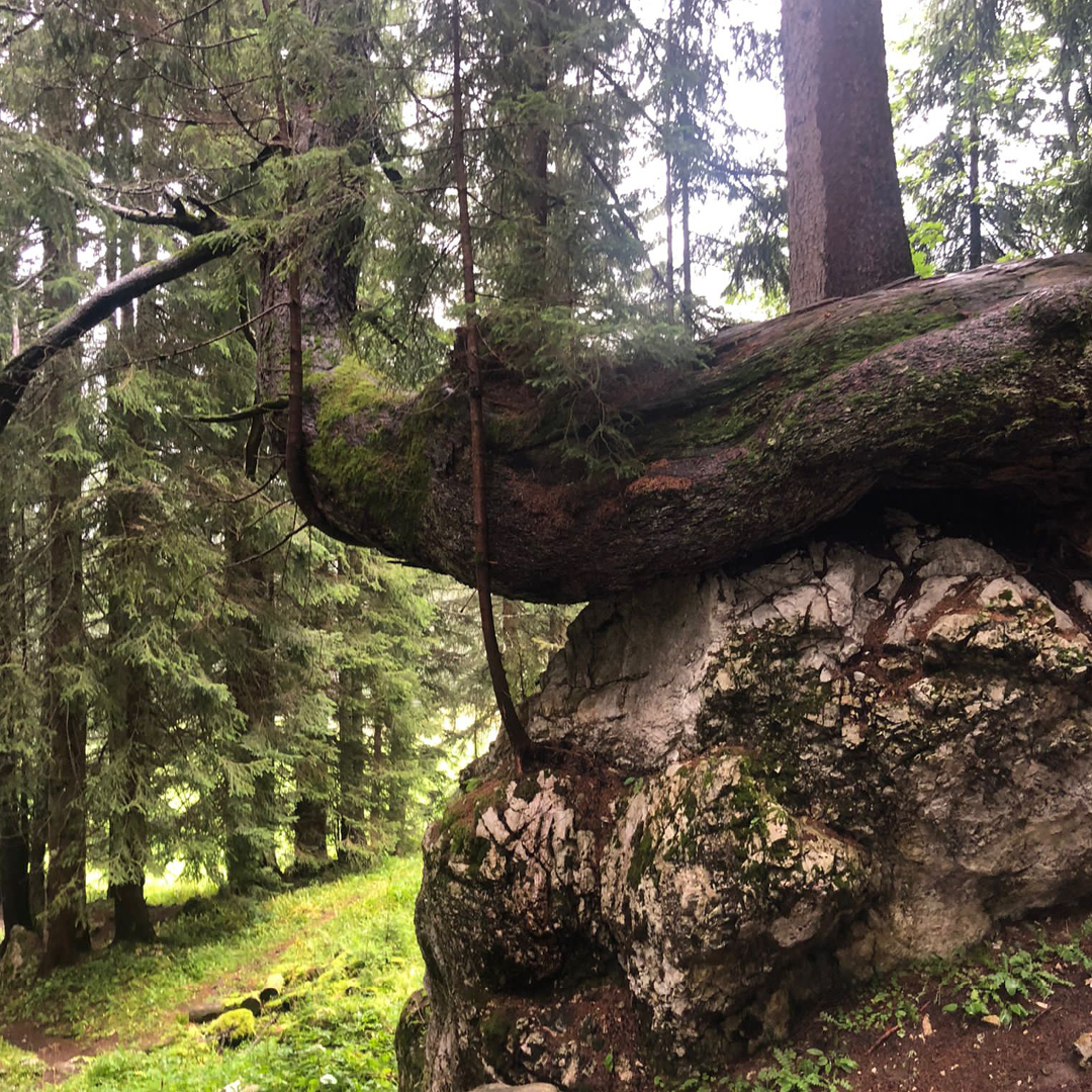 Weitere Kraftplätze Wandertage Filzmoos 2023 am Dachstein-Gebirge in Österreich