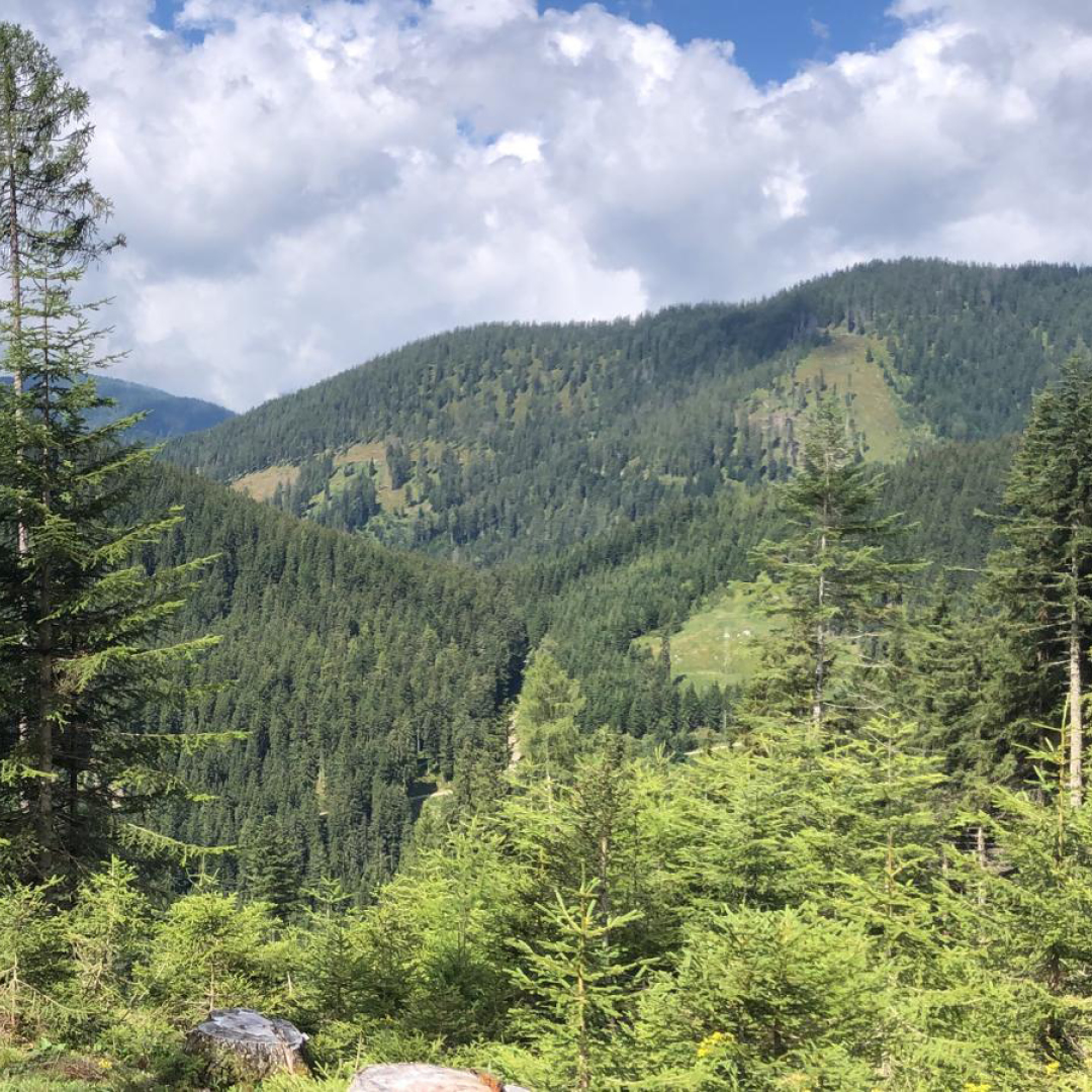 Aussicht Wandertag 4 in Filzmoos an der Bischofsmütze