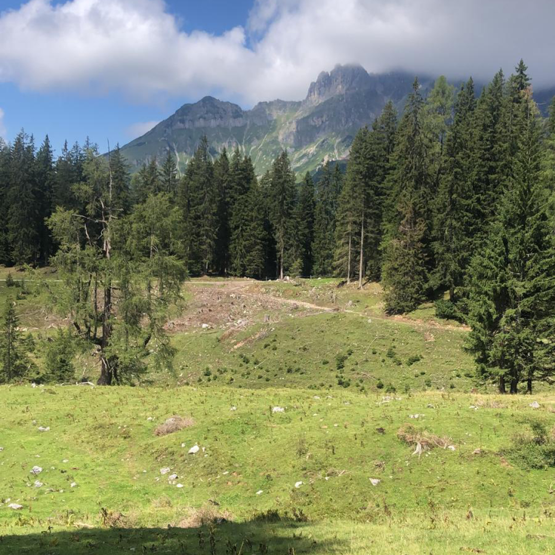 Aussicht Wandertag 4 in Filzmoos an der Bischofsmütze