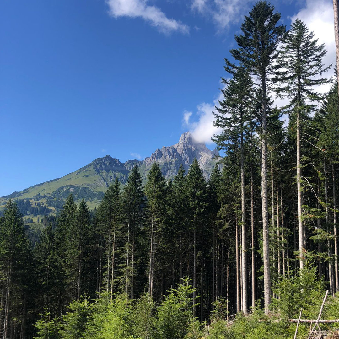 Berge Schönheit der Natur Wandertag 4 in Filzmoos an der Bischofsmütze