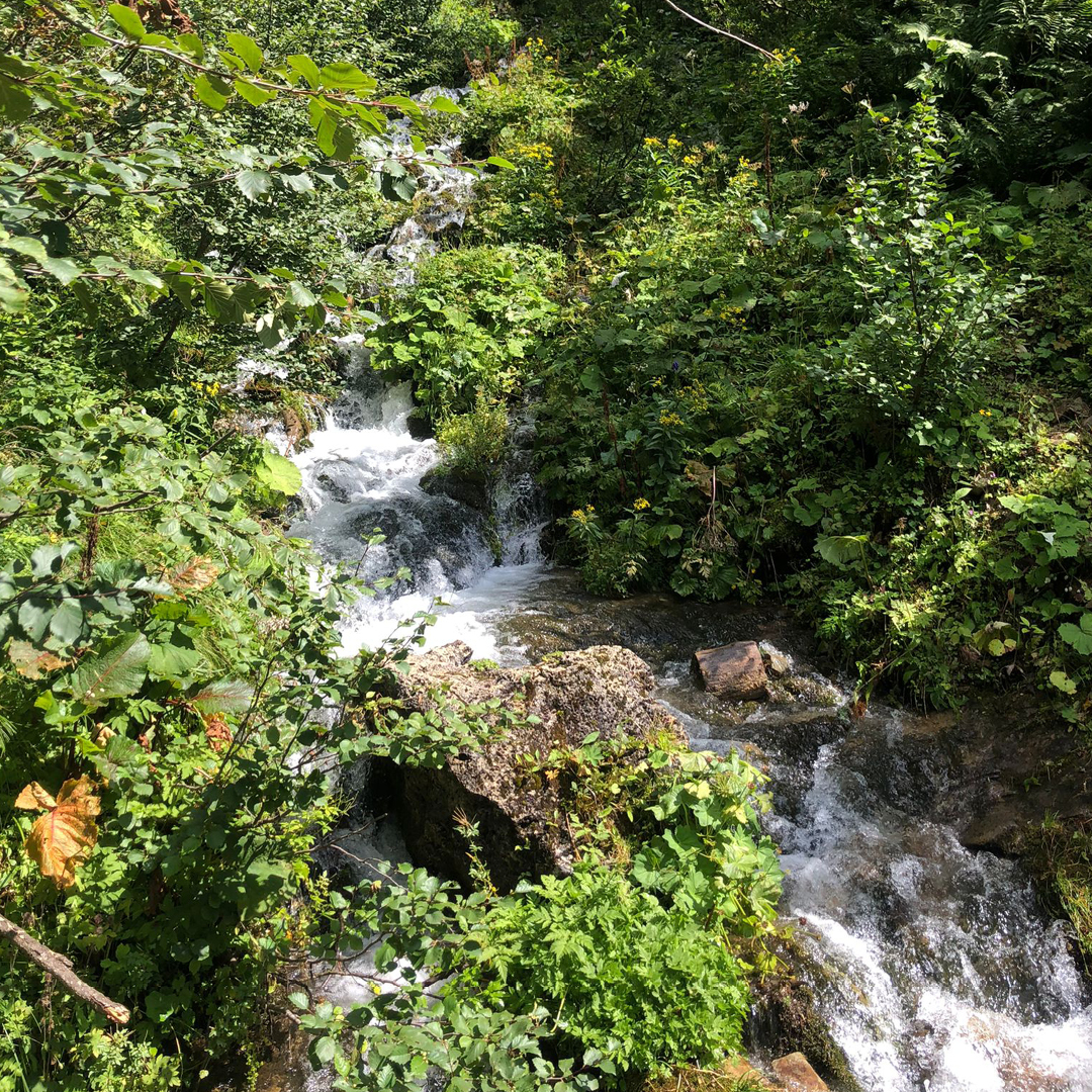 Bergfluss Schönheit der Natur Wandertag 4 in Filzmoos an der Bischofsmütze