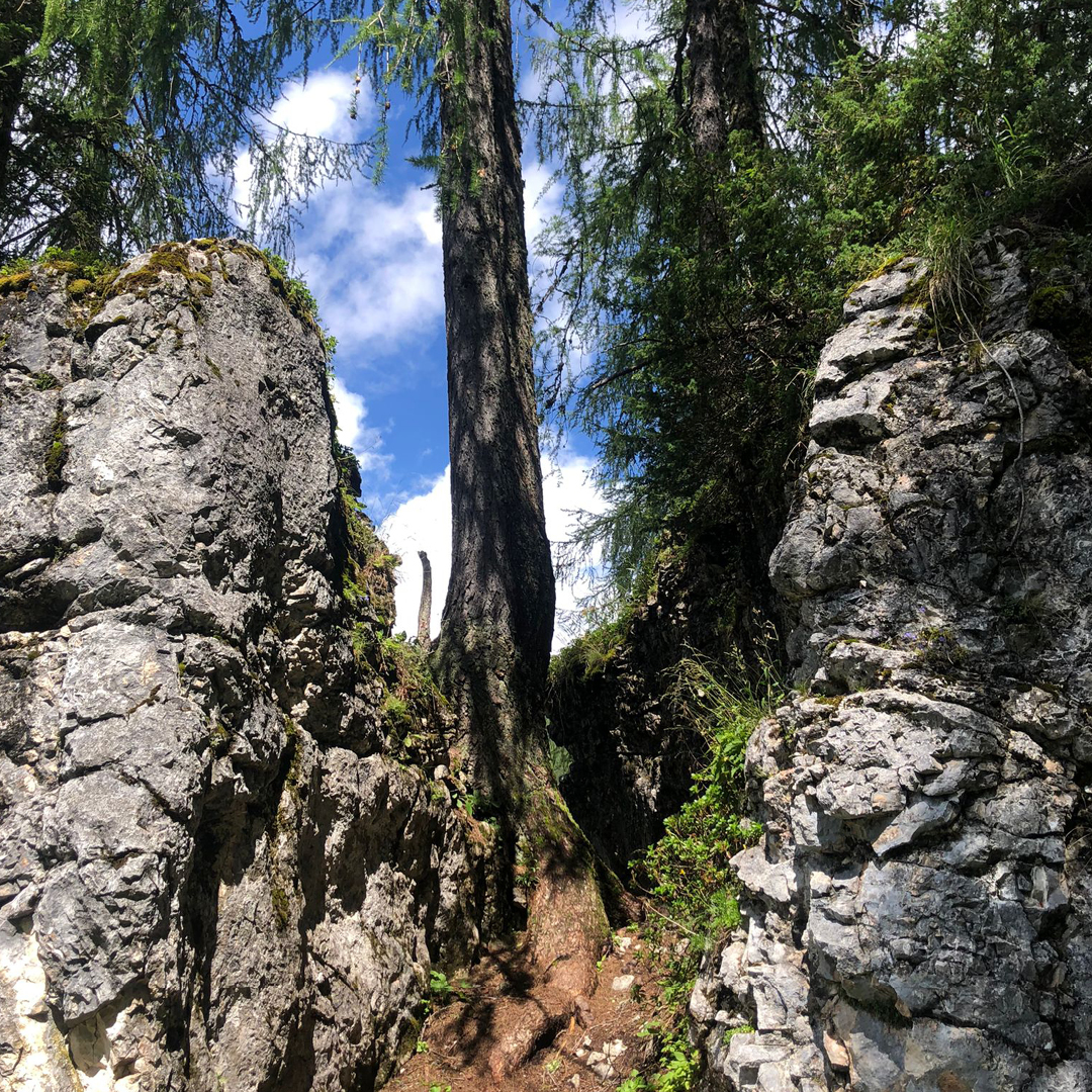 Berge Schönheit der Natur Wandertag 4 in Filzmoos an der Bischofsmütze