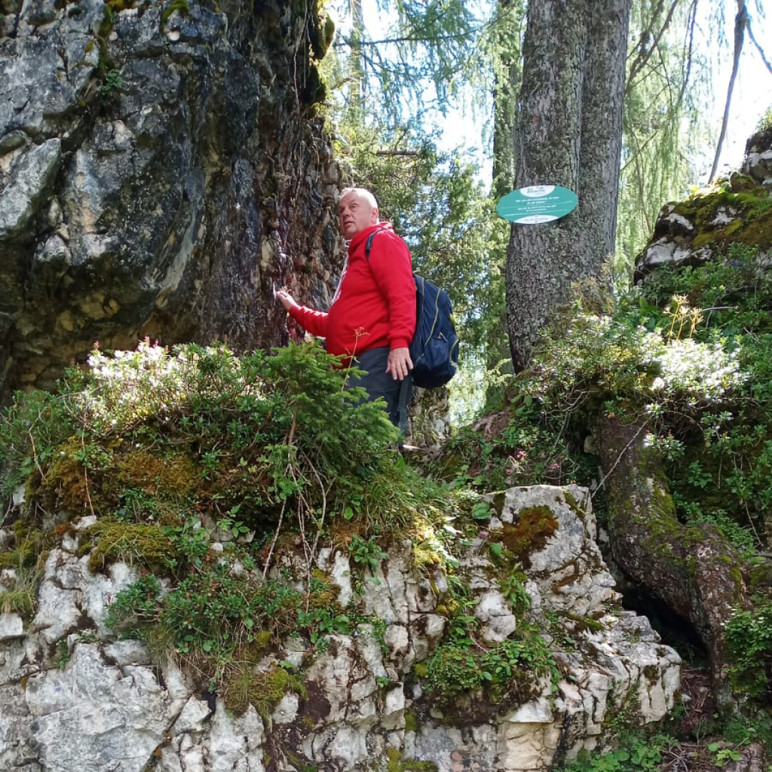 Berge Schönheit der Natur Wandertag 4 in Filzmoos an der Bischofsmütze